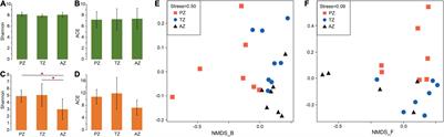 The Characterization of Microbiome and Interactions on Weathered Rocks in a Subsurface Karst Cave, Central China